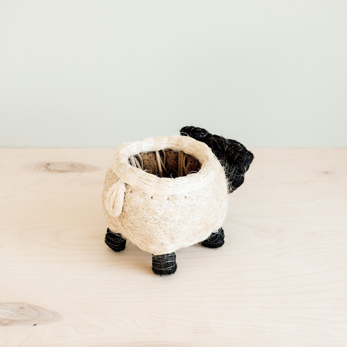 Sheep Planter - Coco Coir Pots