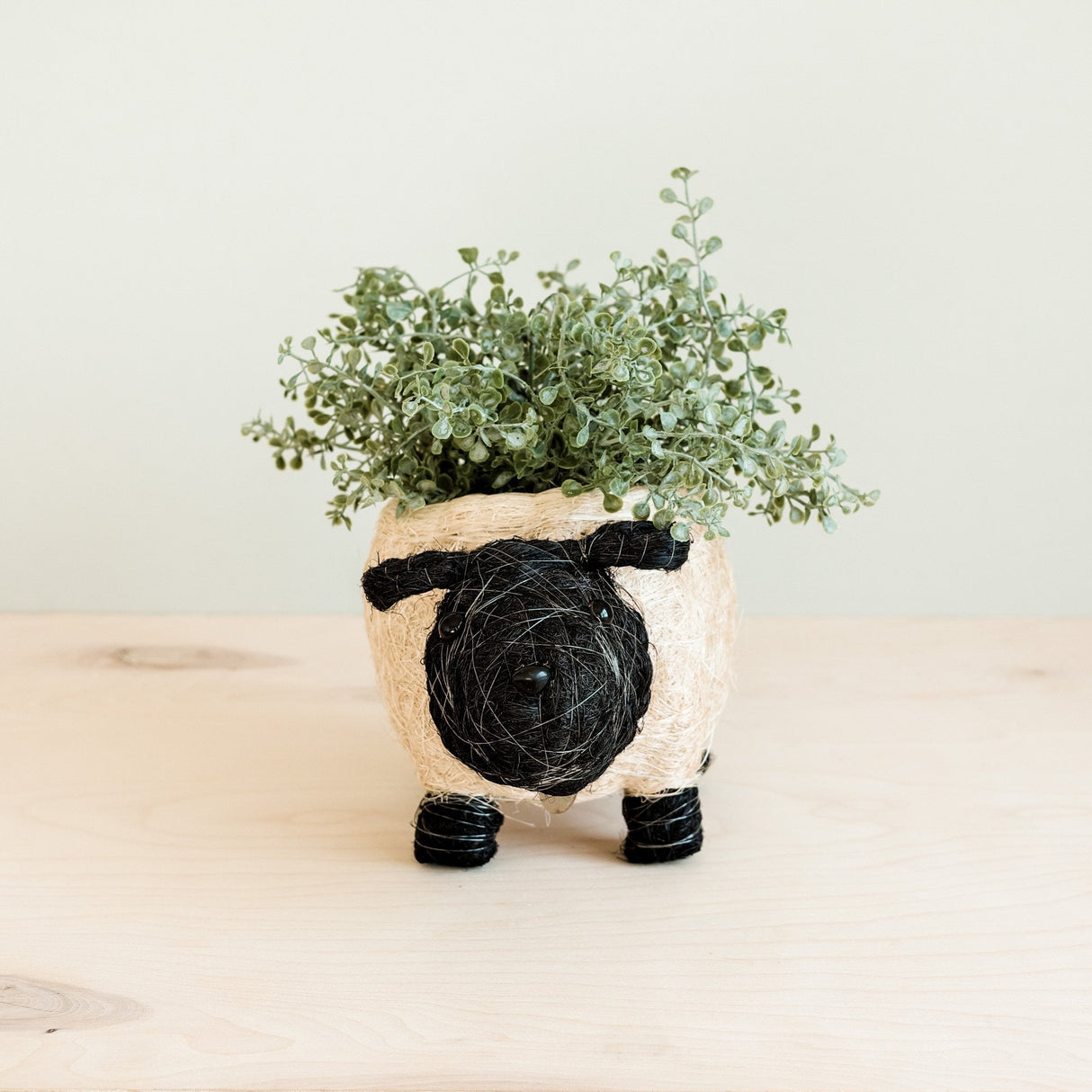 Sheep Planter - Coco Coir Pots