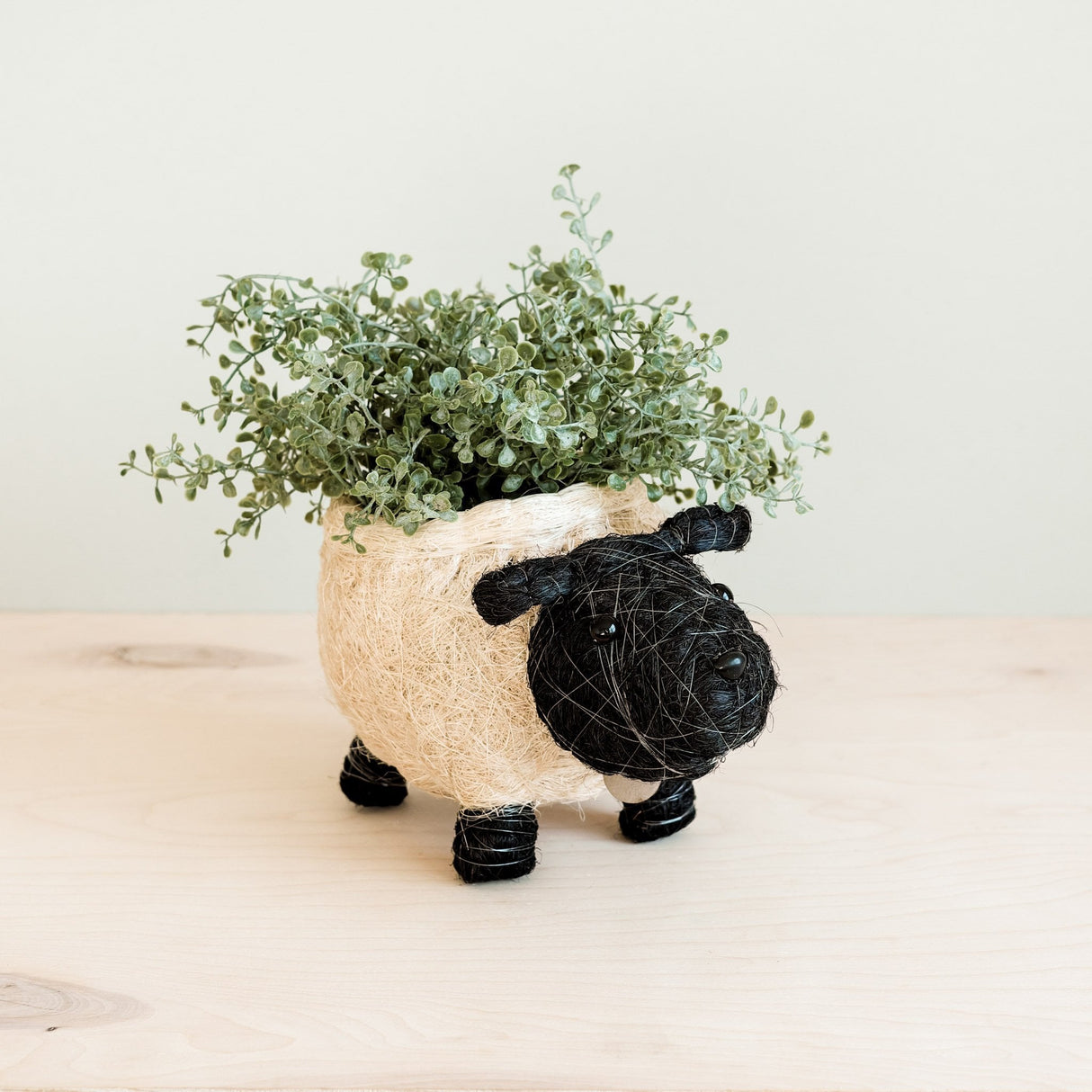 Sheep Planter - Coco Coir Pots