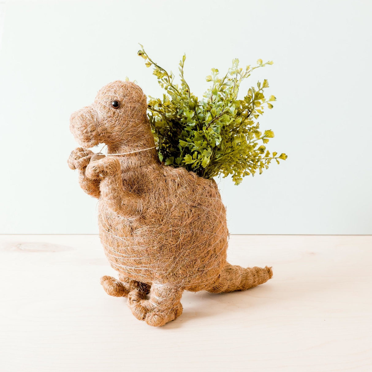 T-Rex Planter - Coco Coir Pots