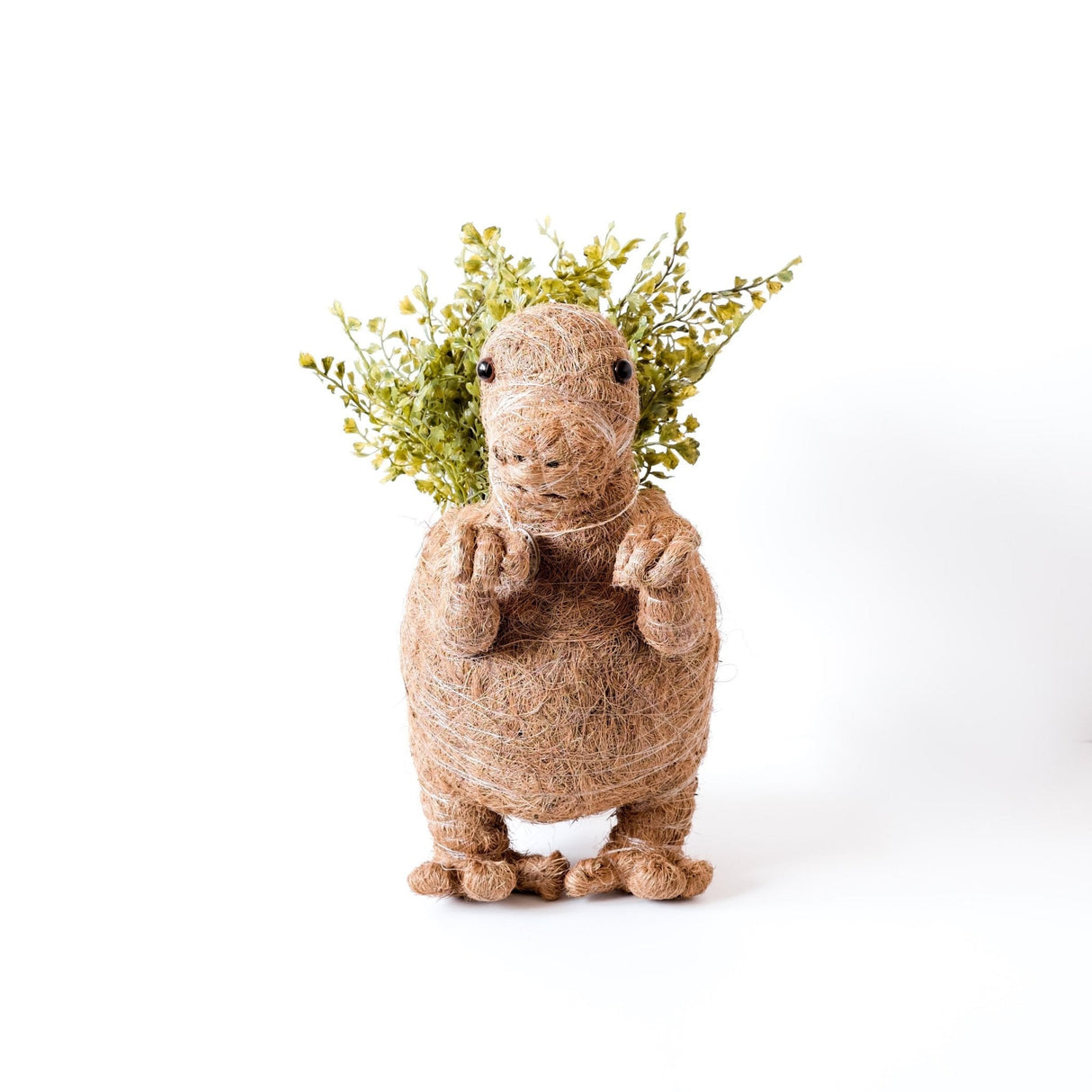 T-Rex Planter - Coco Coir Pots