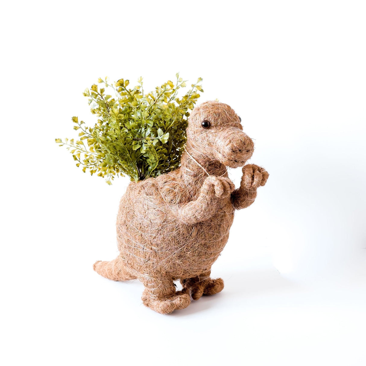 T-Rex Planter - Coco Coir Pots