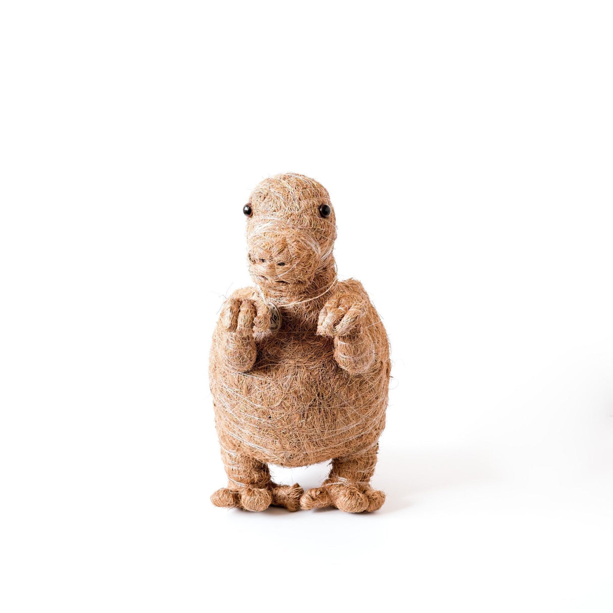 T-Rex Planter - Coco Coir Pots