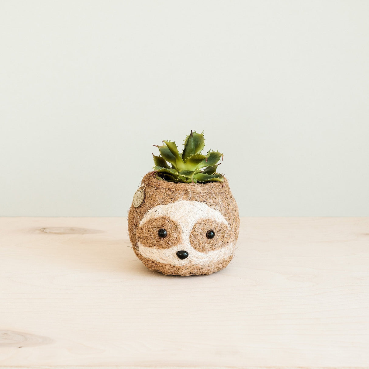 Two-tone Sloth Coco Coir Planter