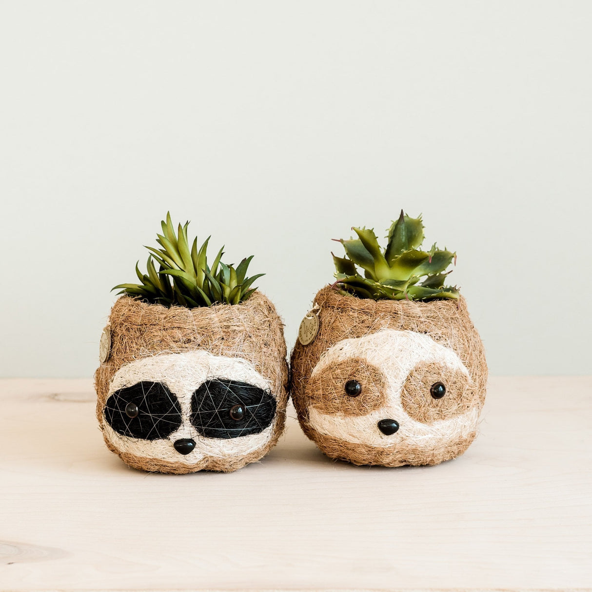 Two-tone Sloth Coco Coir Planter