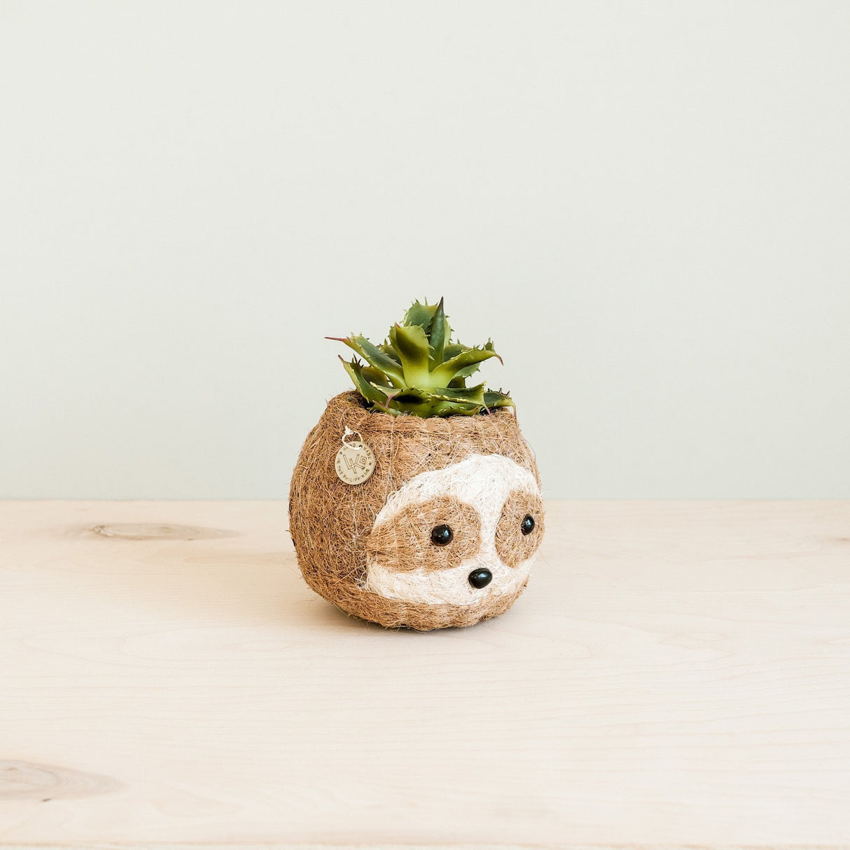 Two-tone Sloth Coco Coir Planter