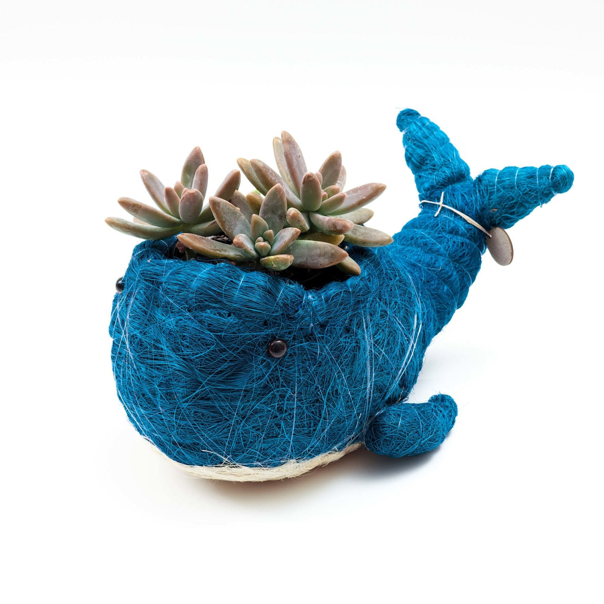 Wicker Whale Planter - Coco Planter