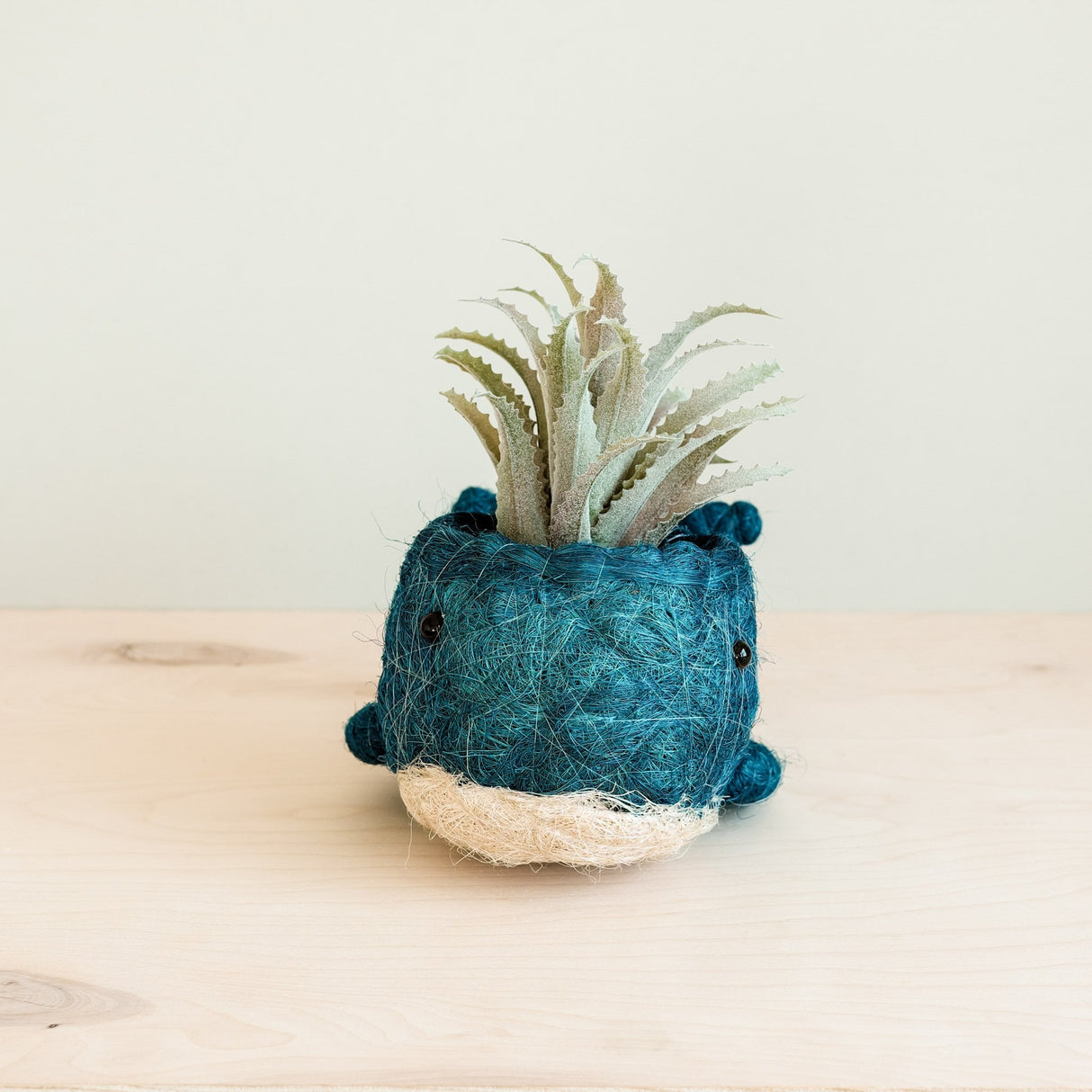 Wicker Whale Planter - Coco Planter