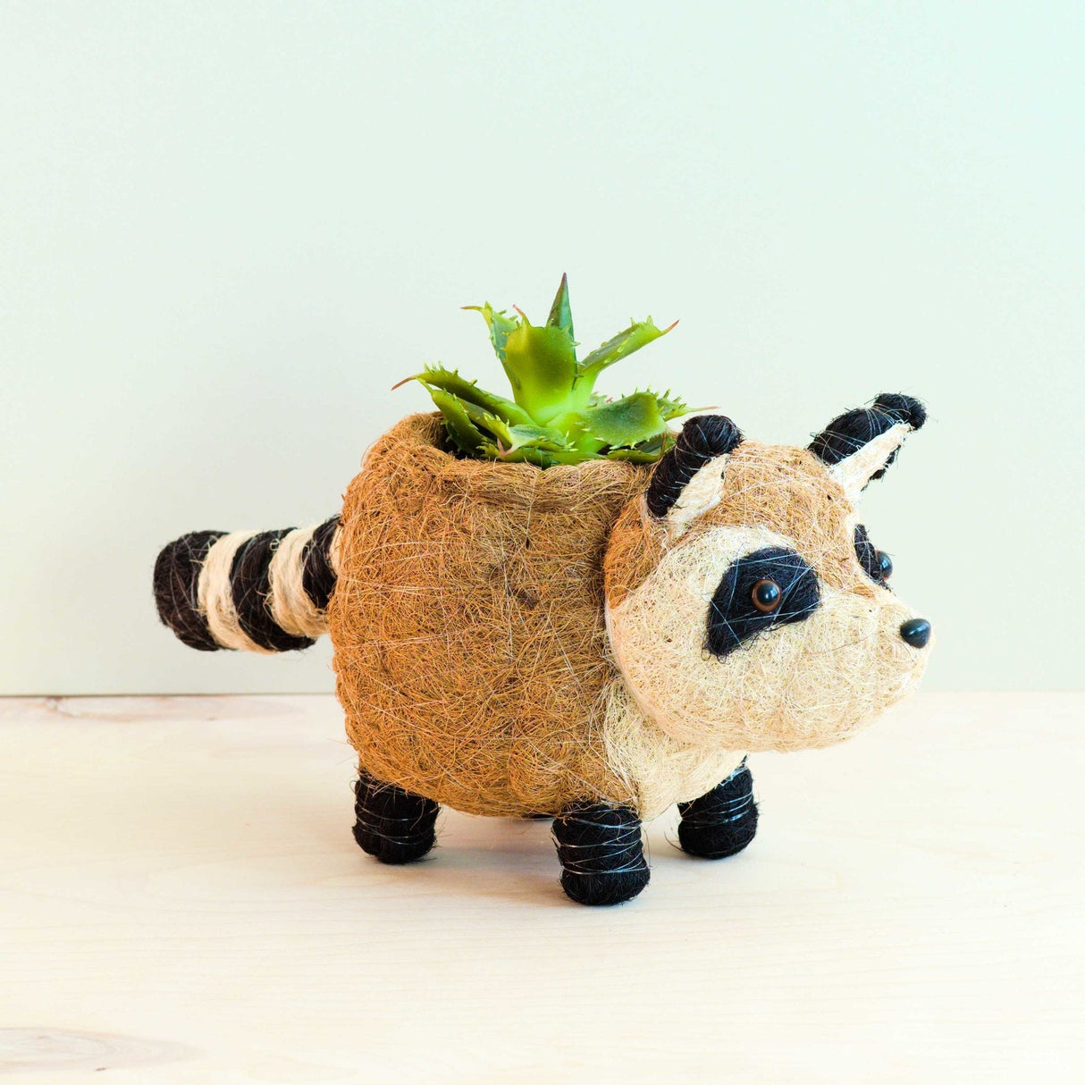 Raccoon Planter - Handmade Plant Pot