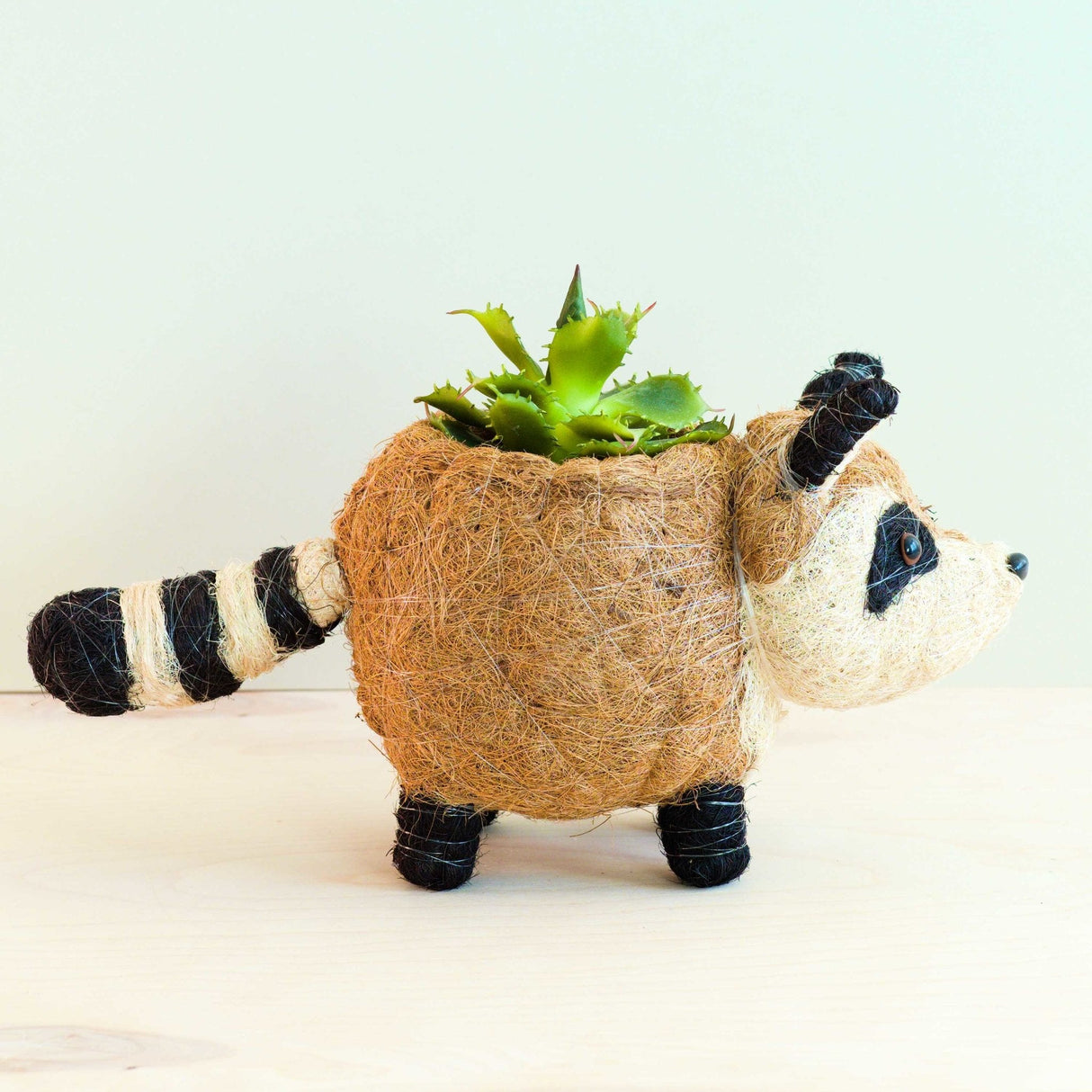 Raccoon Planter - Handmade Plant Pot