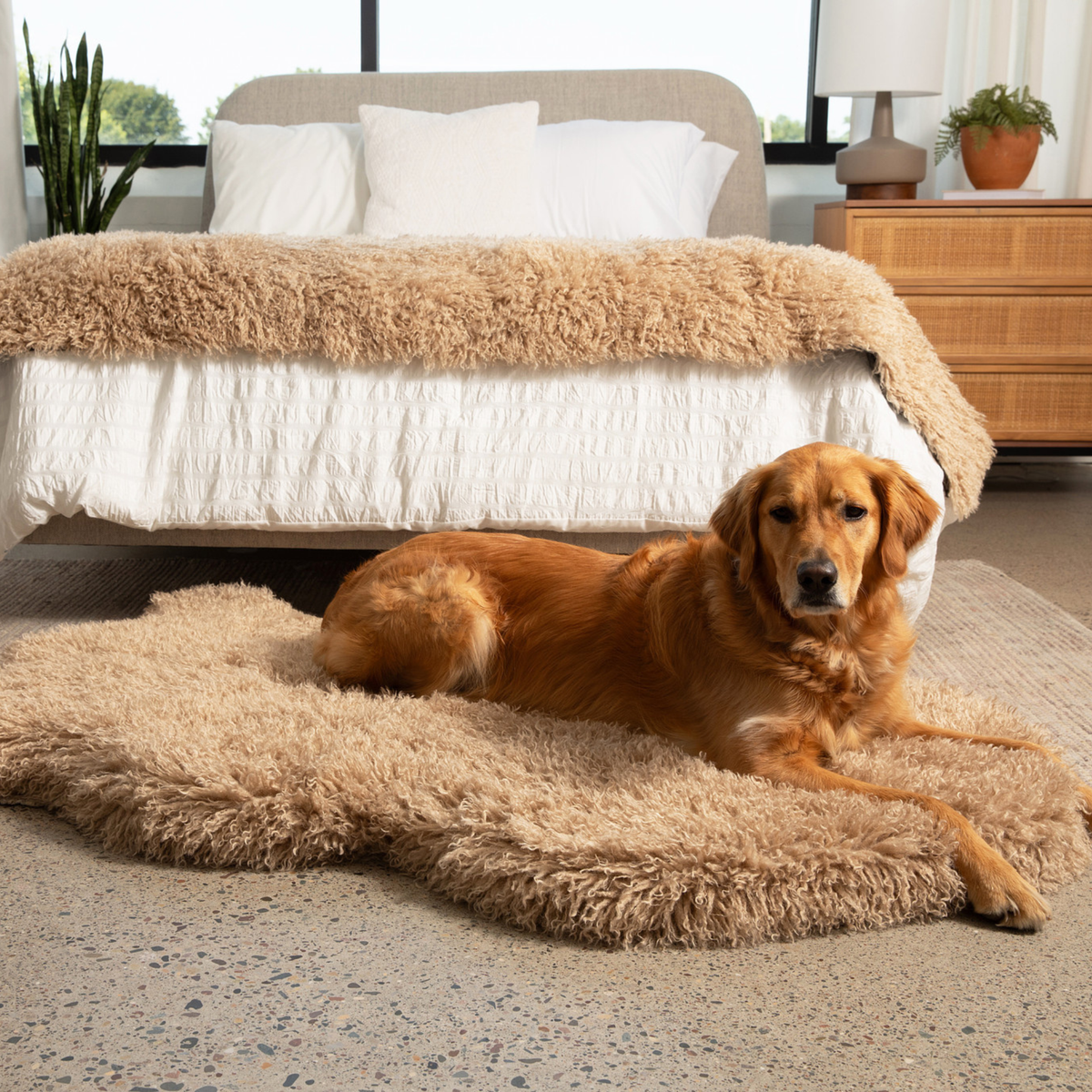 PupRug® Luxe Faux Fur Orthopedic Dog Bed - Plush Sheep Tan – Plow
