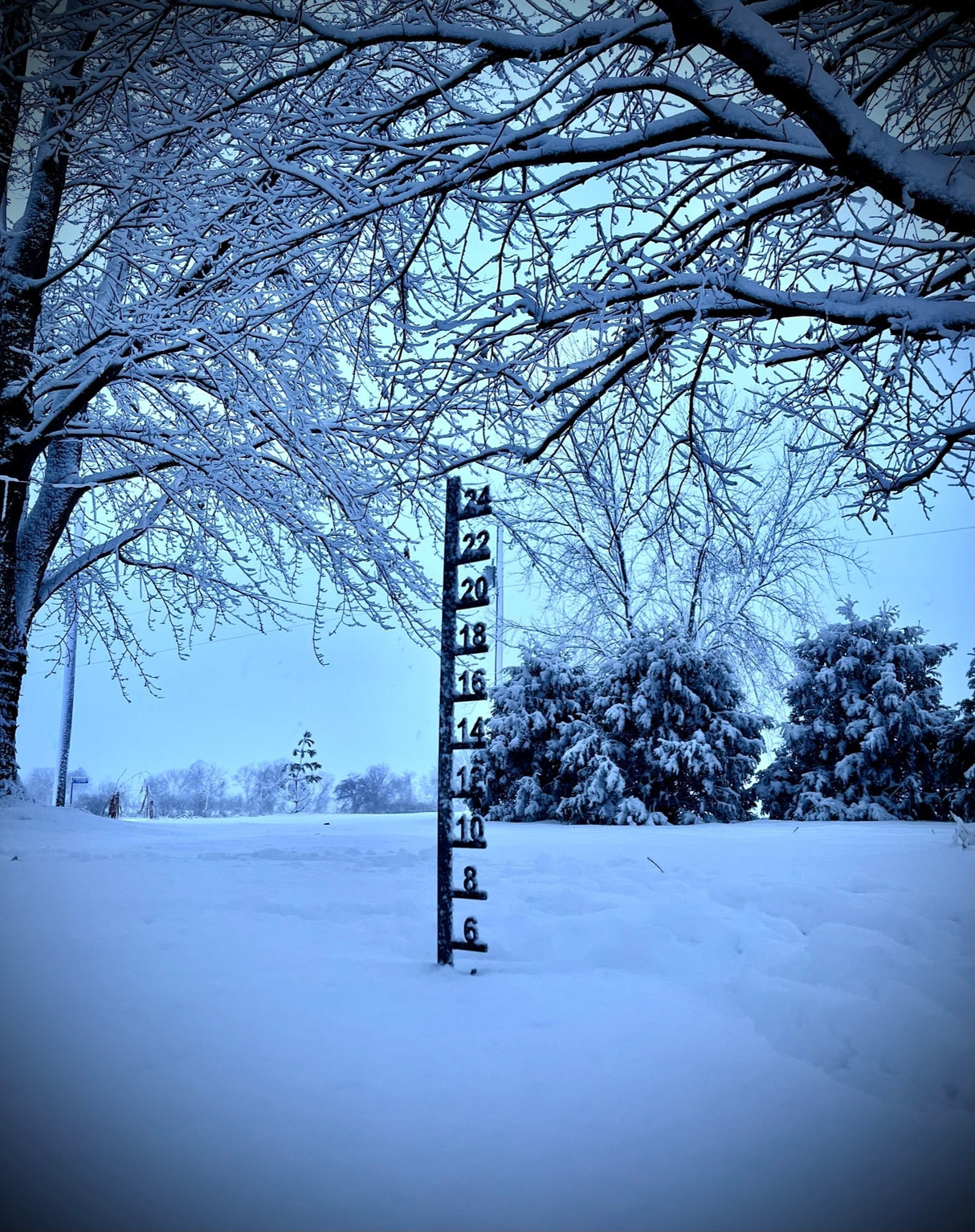 Simple Steel Snow Gauge