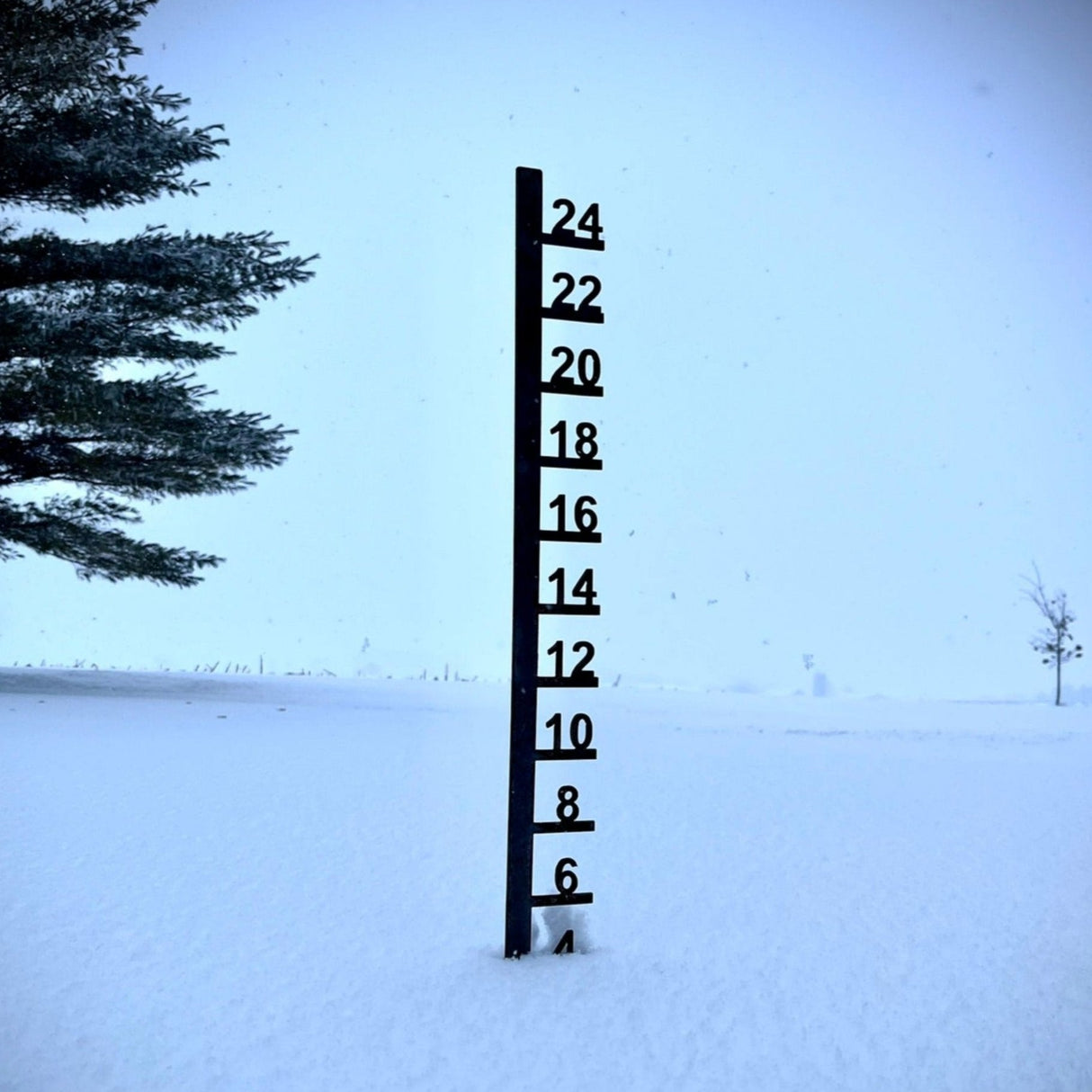 Simple Steel Snow Gauge