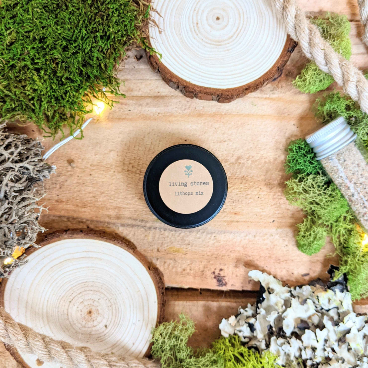 "The Popular Kids" Houseplant Seed Collection