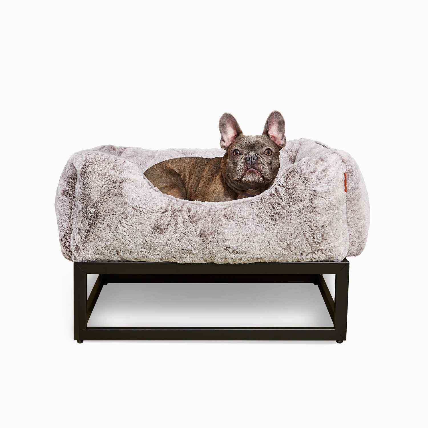 The FÜZI Dog Bed