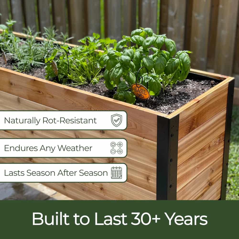 18″ x 36″ Deep Root Raised Garden Bed - 30″ TALL / Select Grade