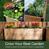 18″ x 36″ Deep Root Raised Garden Bed - 30″ TALL / Select Grade