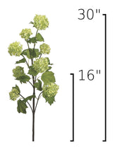 30" Faux Green Snowball Hydrangea Stem