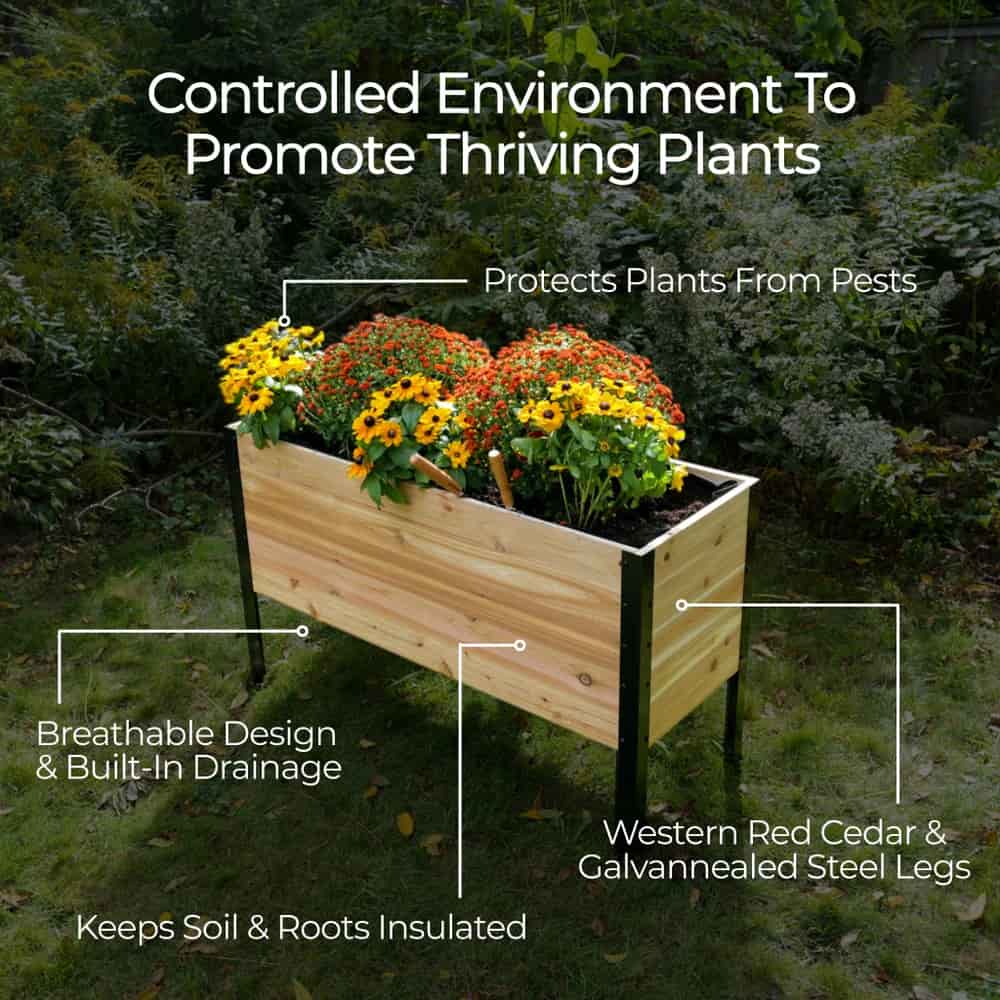 18″ x 36″ Deep Root Raised Garden Bed - 30″ TALL / Select Grade