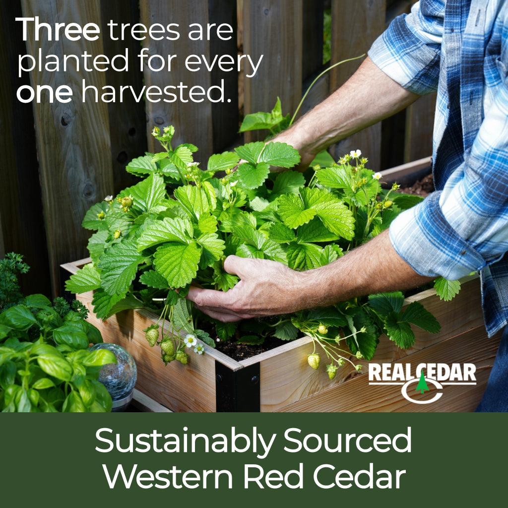 18″ x 36″ Deep Root Raised Garden Bed - 30″ TALL / Select Grade