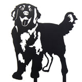 Golden Retriever - Standing