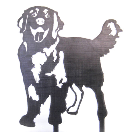 Golden Retriever - Standing