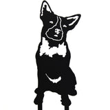 Australian Cattle Dog