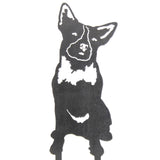 Australian Cattle Dog