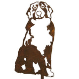 Bernese Mountain Dog