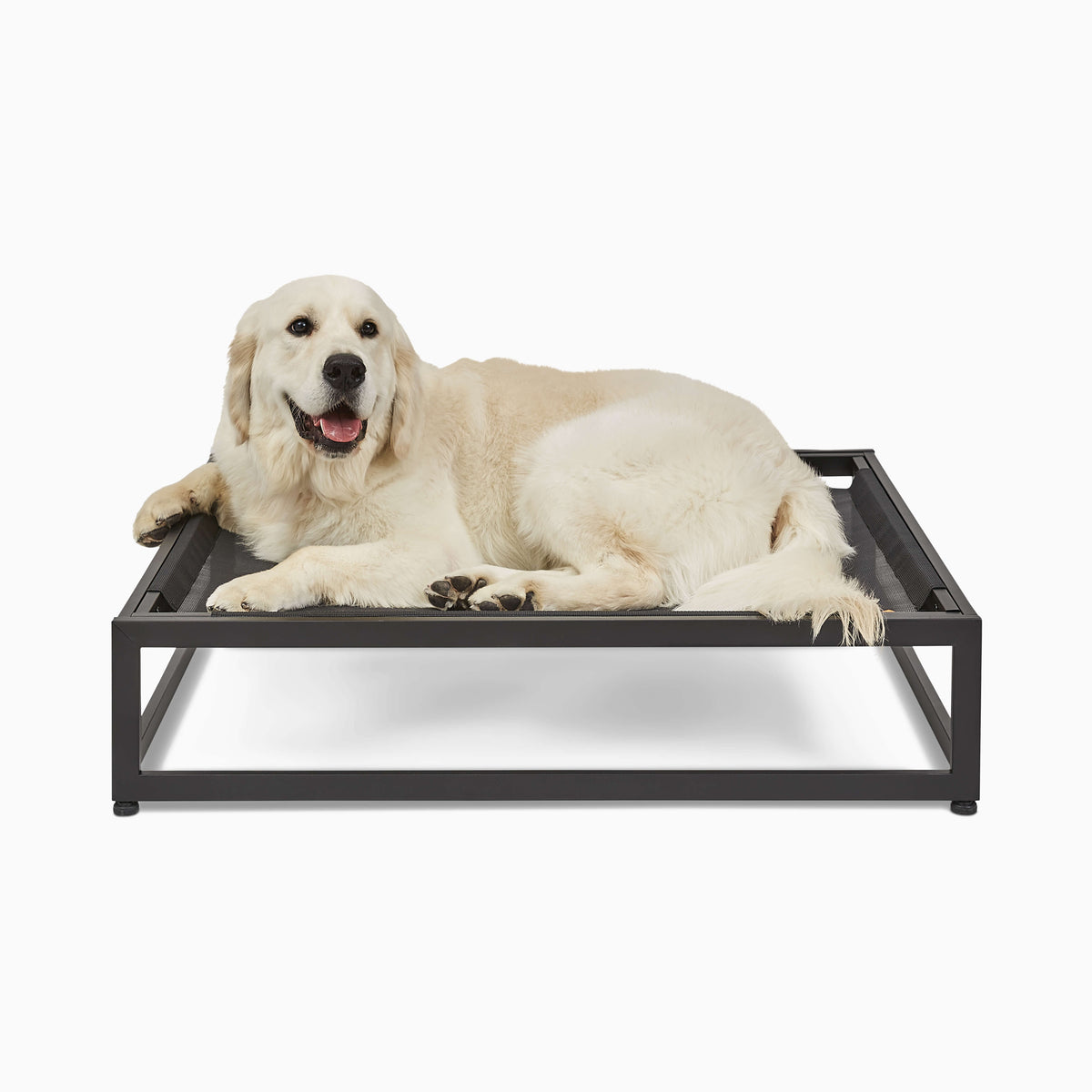 The Up Pup Dog Cot
