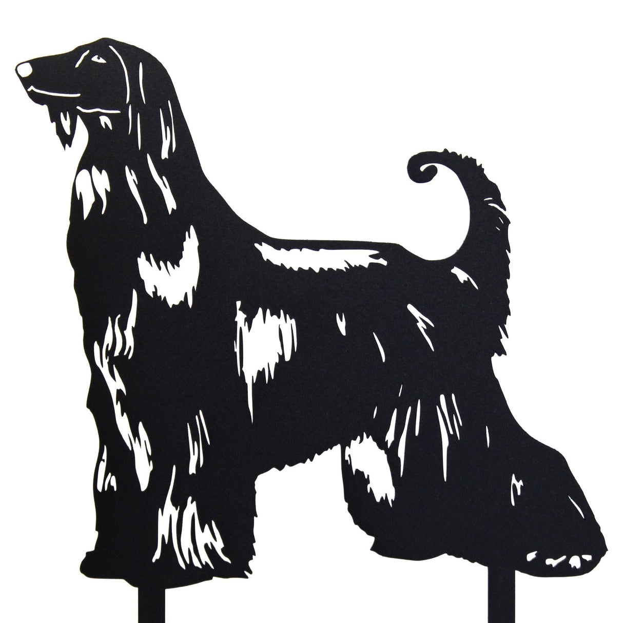 Afghan Hound
