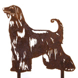 Afghan Hound