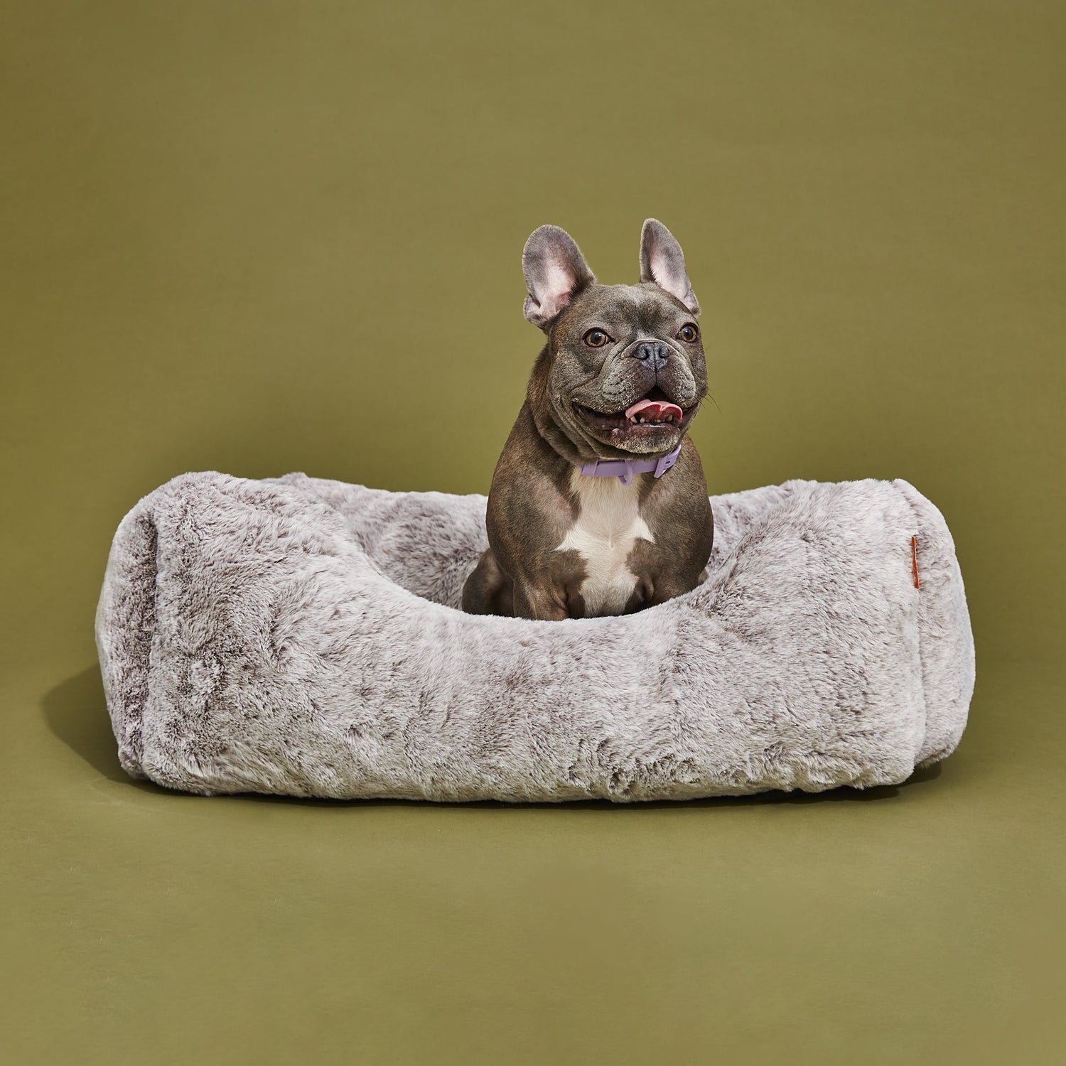 The Sammy Bolster Dog Bed