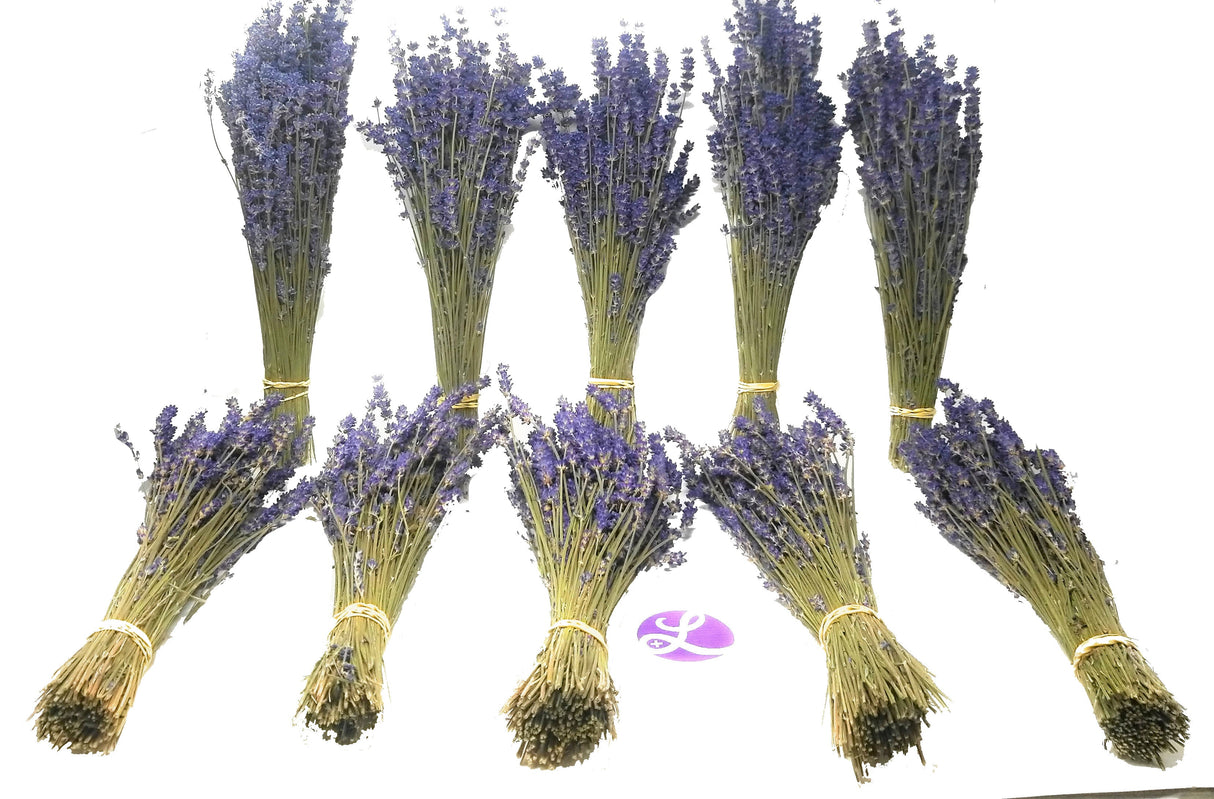 Royal Velvet Dried Lavender Bundles