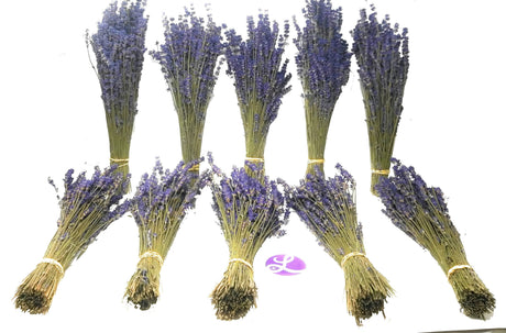 Royal Velvet Dried Lavender Bundles