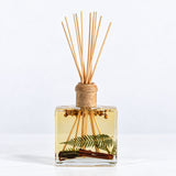 Signature Botanical Reed Diffuser - Spicy Apple