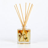 Accent Botanical Reed Diffuser - Apricot Rose