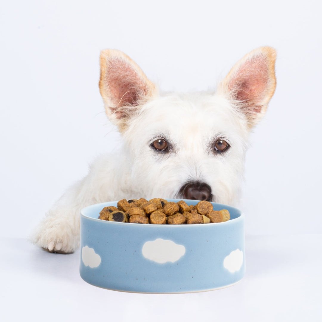 Set of 2 Blue Medium stoneware ceramic Pet Bowls — Cloud Collection