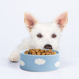 Set of 2 Blue Medium stoneware ceramic Pet Bowls — Cloud Collection