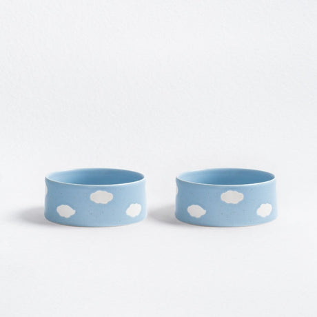 Set of 2 Blue Large Ceramic Pet Bowls
