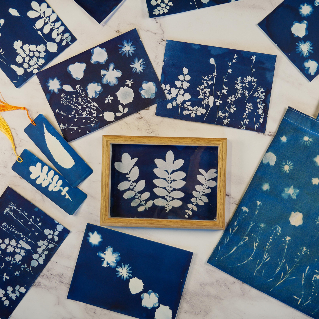 Cyanotype Kit