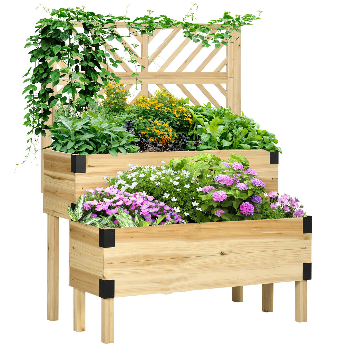 2-Tier Raised Garden Bed with Trellis