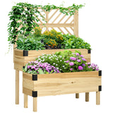 2-Tier Raised Garden Bed with Trellis