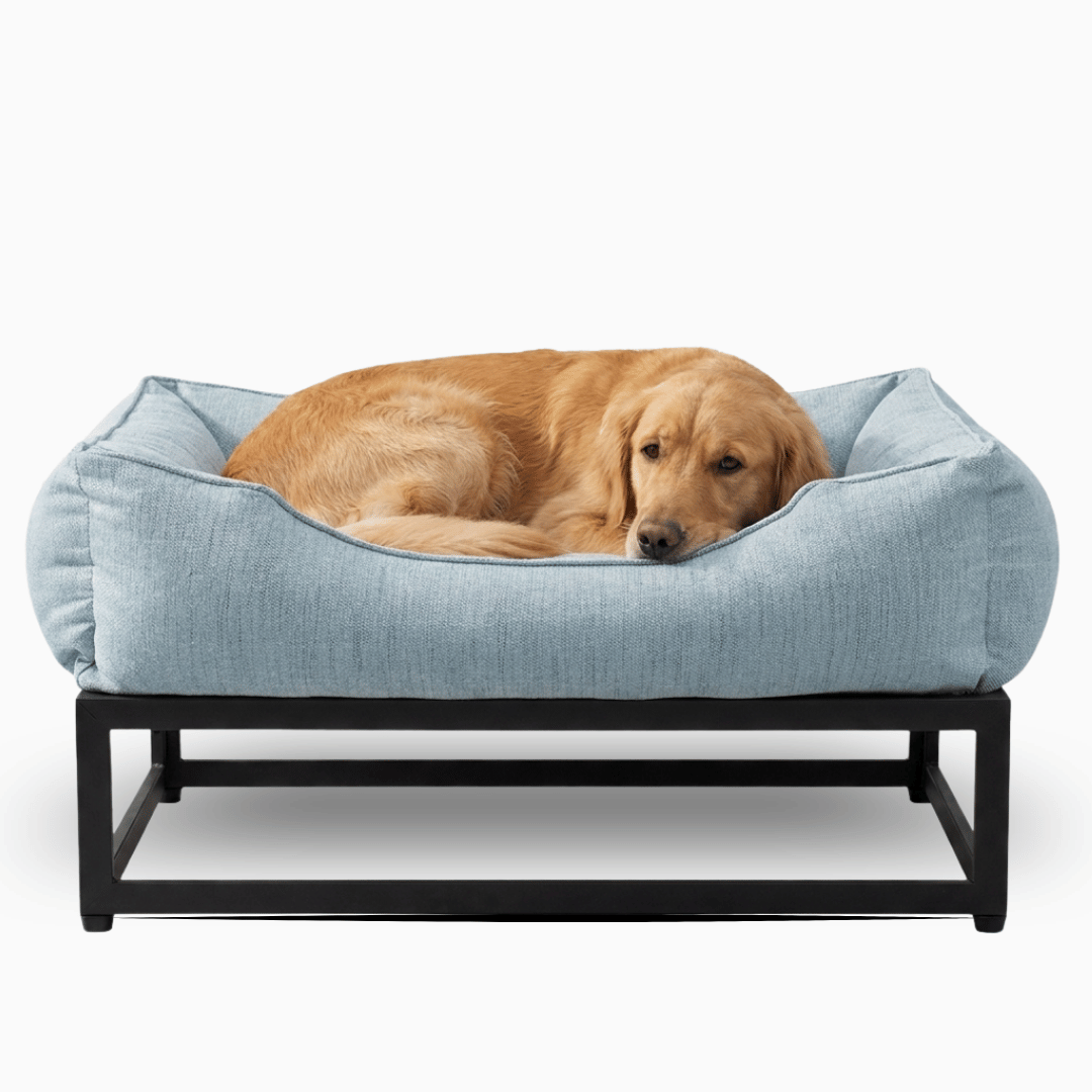 The FÜZI Elevated Dog Bed