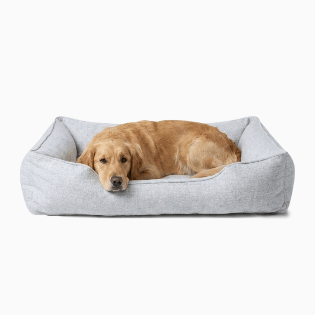 The Sammy Bolster Dog Bed