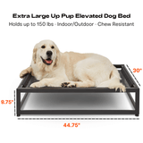 The Up Pup Dog Bed