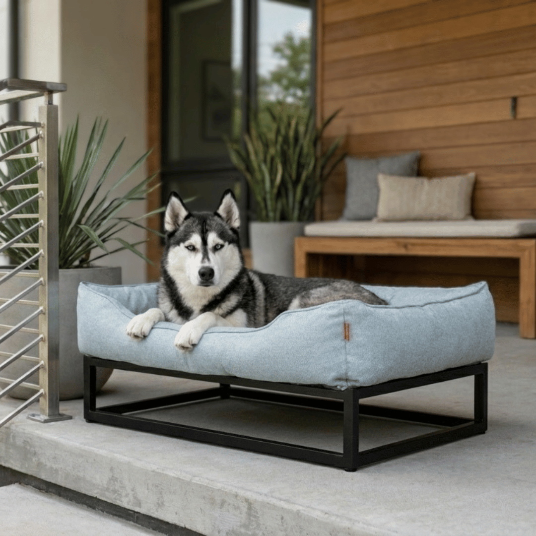 The FÜZI Elevated Dog Bed