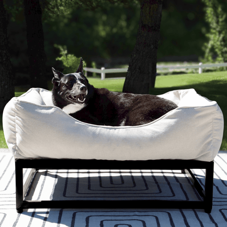 The FÜZI Elevated Dog Bed