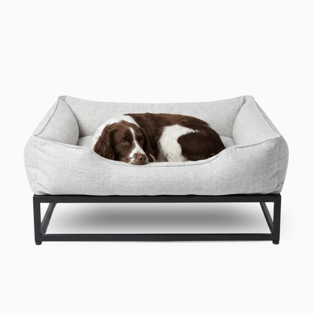 The FÜZI Elevated Dog Bed