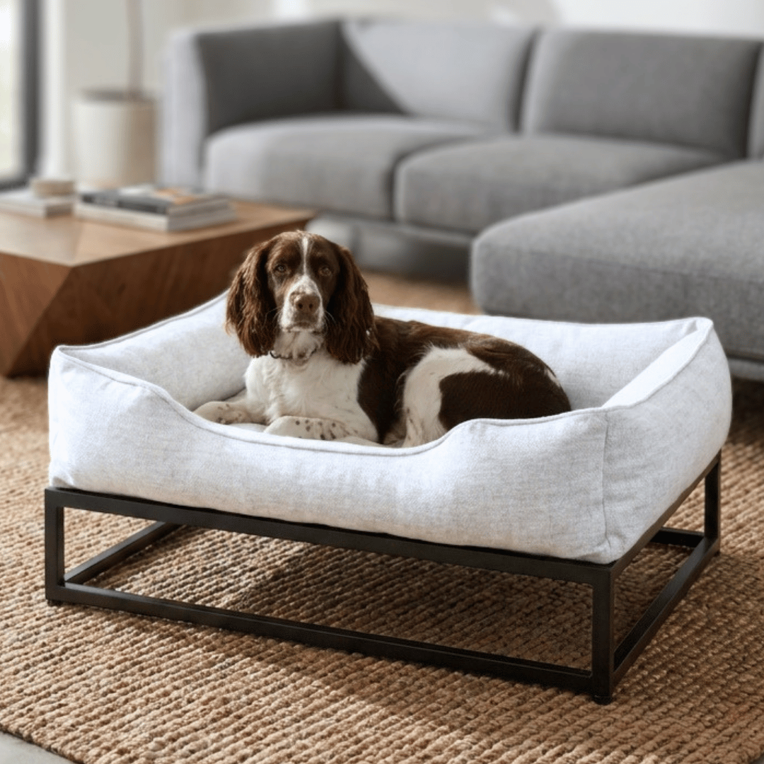 The FÜZI Elevated Dog Bed